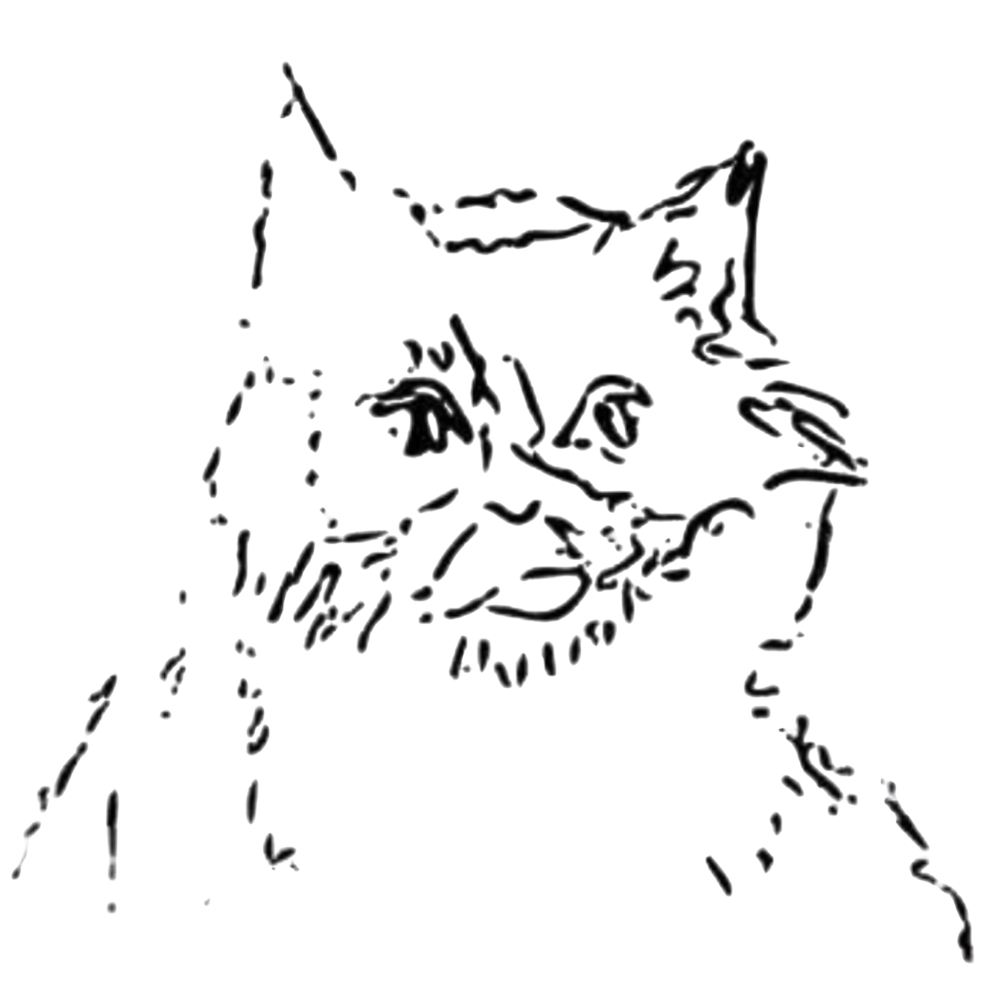 cat-logo-transparent-small
